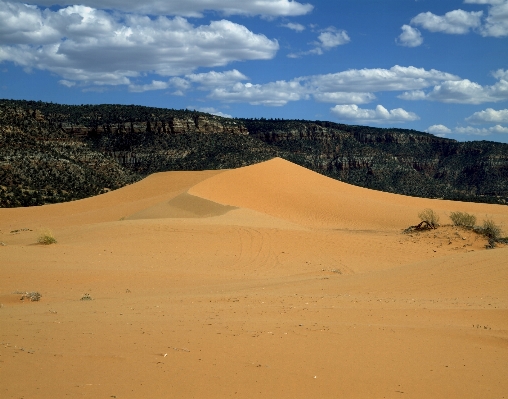 Landscape sand wilderness desert Photo