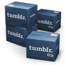 Tumblr Icon