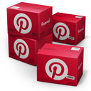 Pinterest Icon