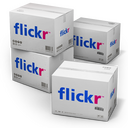 Flickr Icon