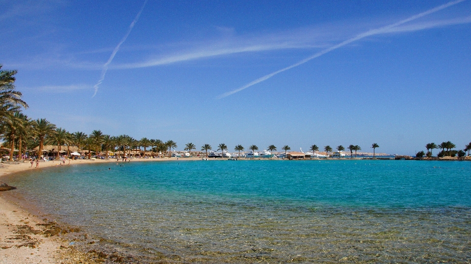 Beach sea coast nature