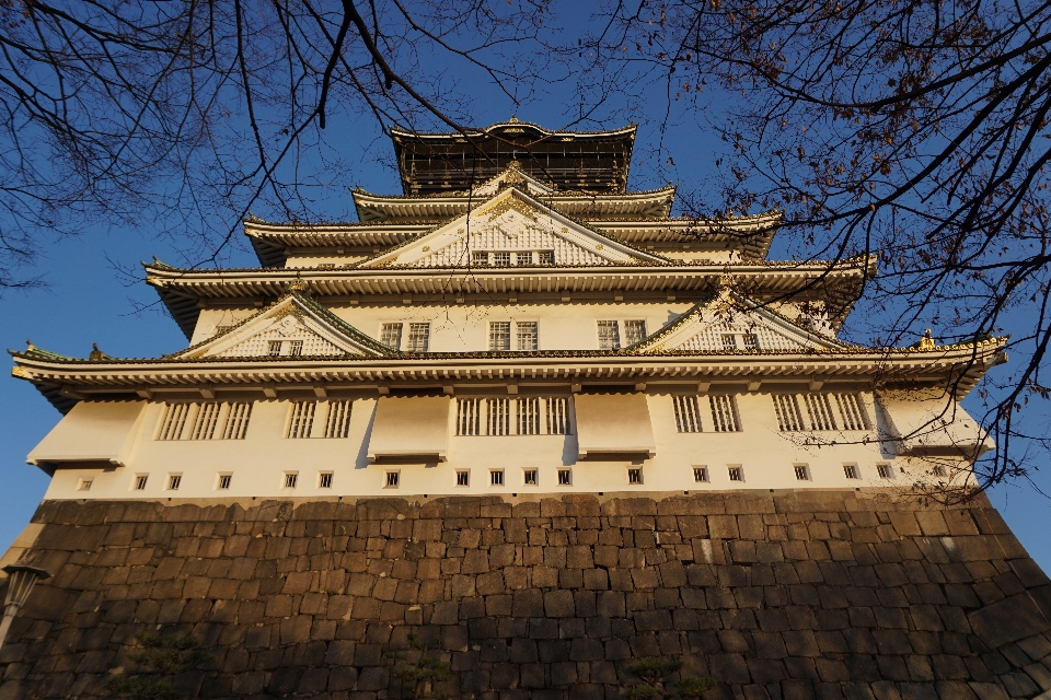 Bâtiment palais la tour château