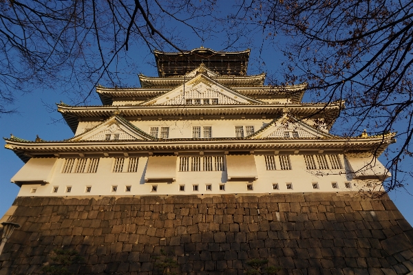 Building palace tower castle Photo