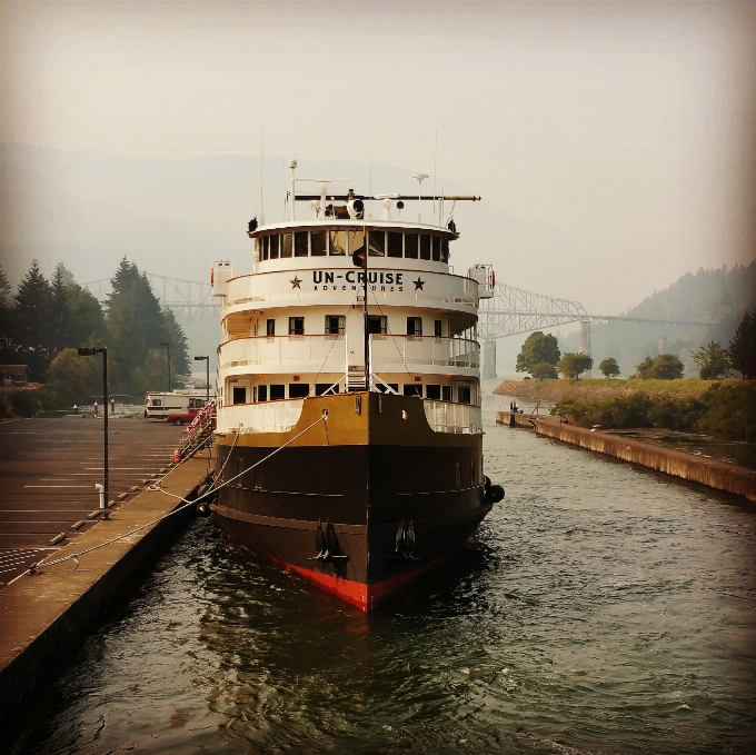 пейзаж море дерево вода