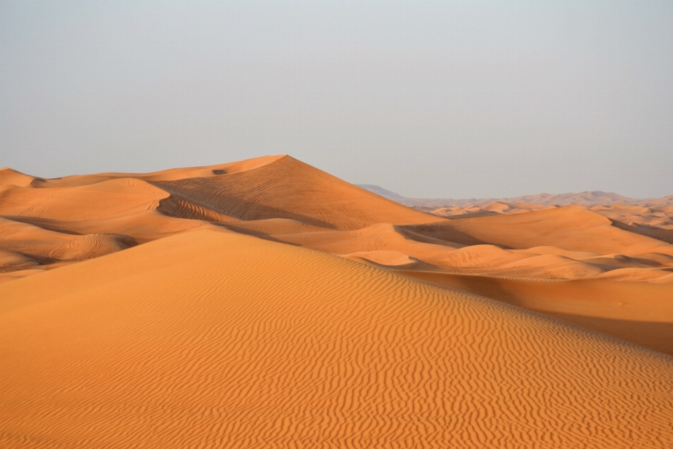 Landscape sand desert dune