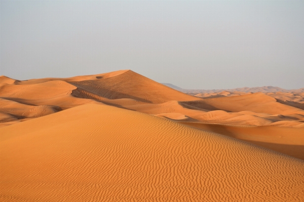 Landscape sand desert dune Photo