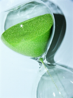 Sand white leaf petal Photo