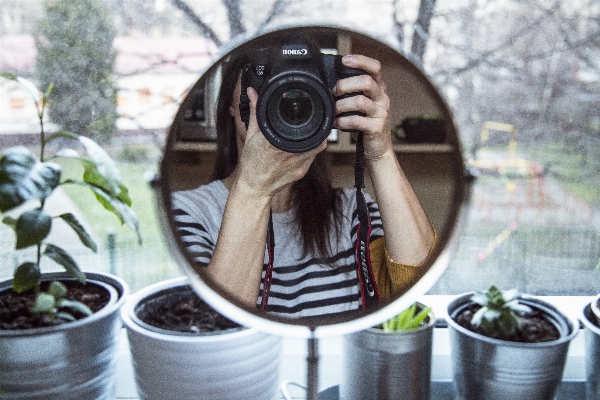 Light camera flower window Photo