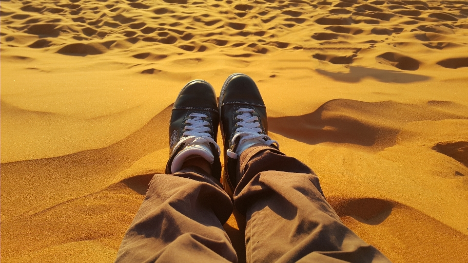 Landscape sand sunset desert