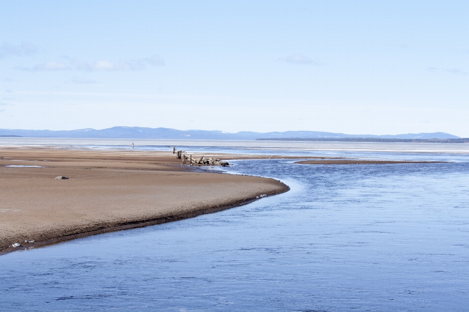 ビーチ 海 海岸 水