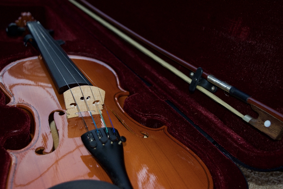 Guitare chaîne acoustique instrument