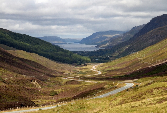 Landscape mountain road meadow Photo