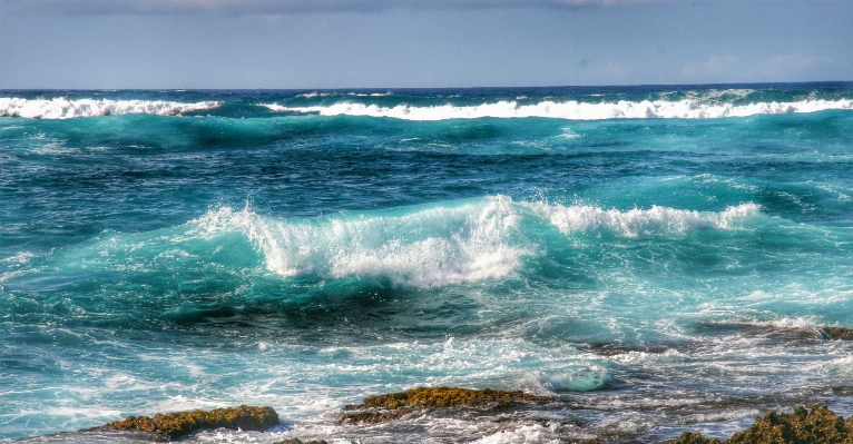 Beach sea coast water Photo