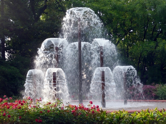 Wasser wasserfall park botanik
 Foto