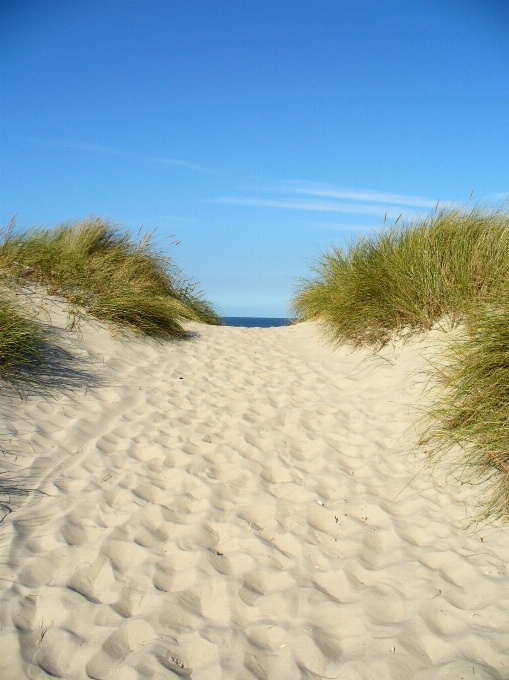 Plaża krajobraz morze wybrzeże