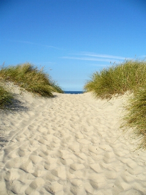 Beach landscape sea coast Photo