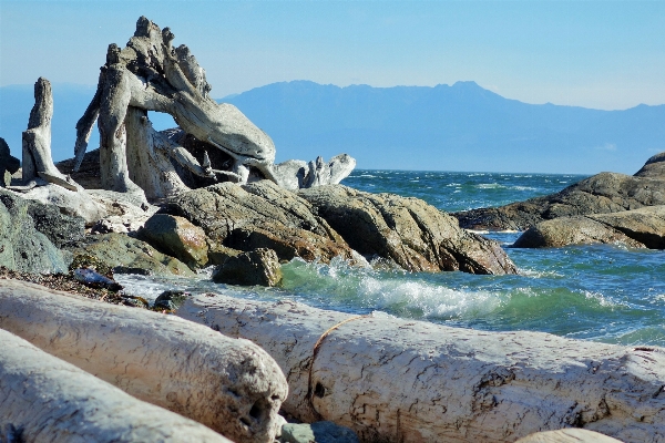 Beach landscape sea coast Photo