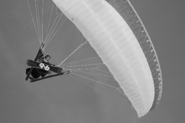 Photo Aile noir et blanc
 blanc roue