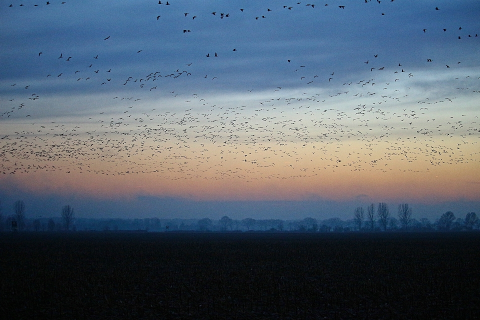 Landscape sea nature horizon