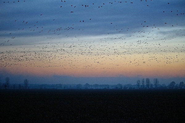 Zdjęcie Krajobraz morze natura horyzont