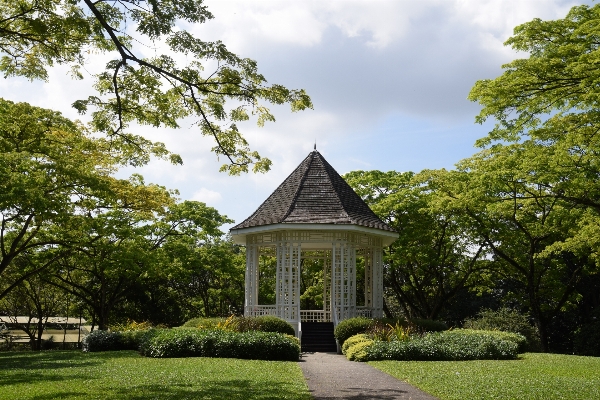 Tree lawn building chateau Photo