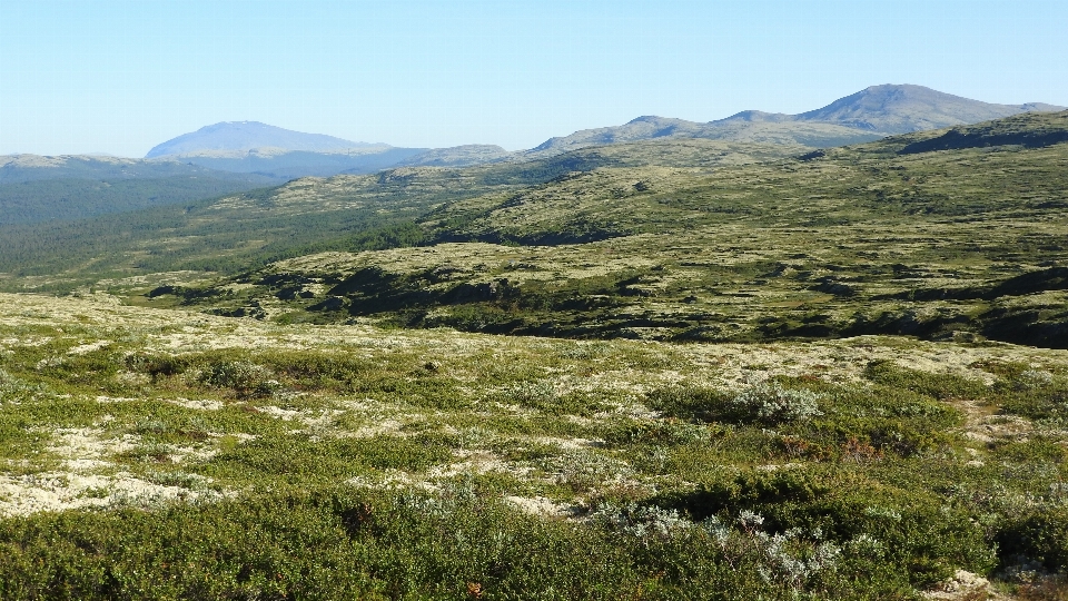 Landscape wilderness walking mountain