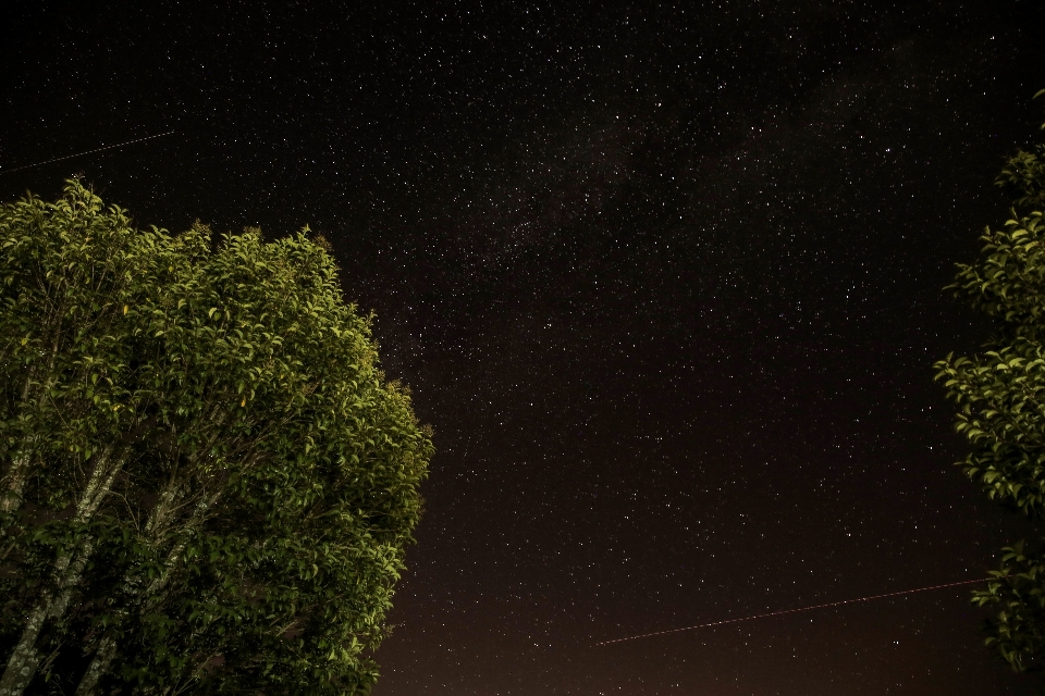 風景 ライト 空 夜