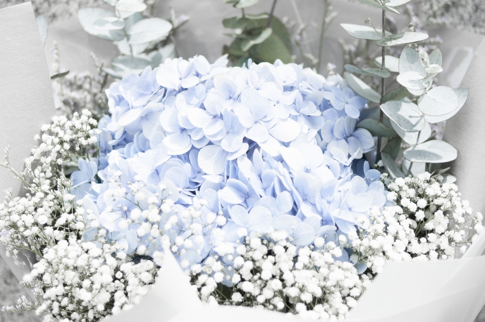 White flower petal bouquet