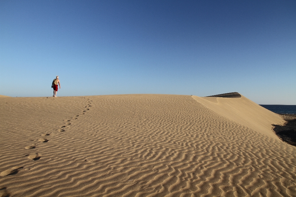 Homme plage paysage nature