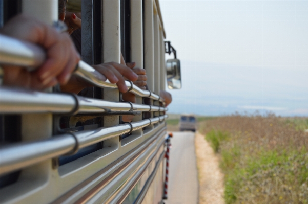 Nature people road vehicle Photo