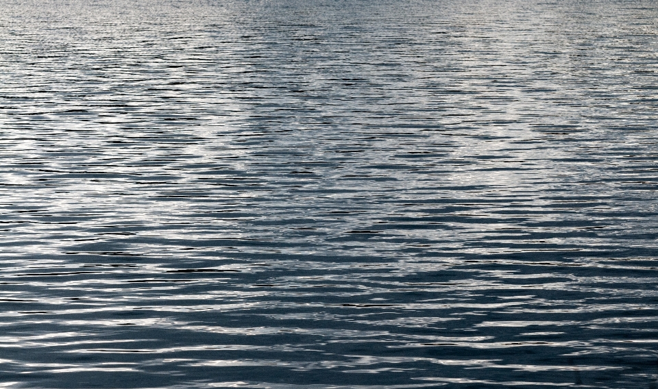 海 海岸 水 海洋