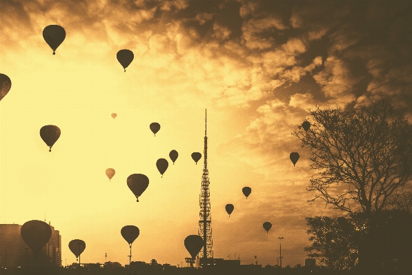 シルエット 空 太陽 日の出 写真