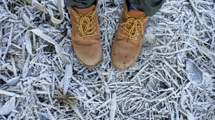 Outdoor branch shoe snow Photo