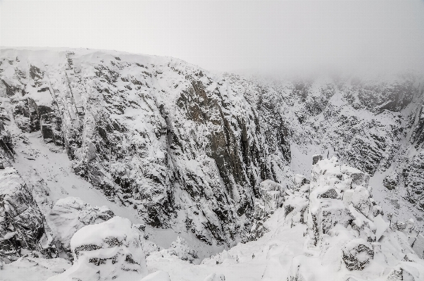 Foto árvore montanha neve inverno