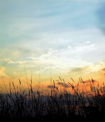 Nature grass horizon cloud Photo