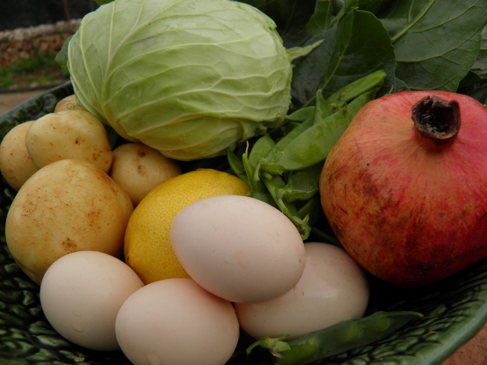 Tanaman makanan menghasilkan sayur-mayur