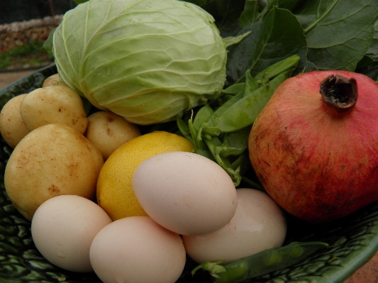 Anlage essen produzieren gemüse Foto