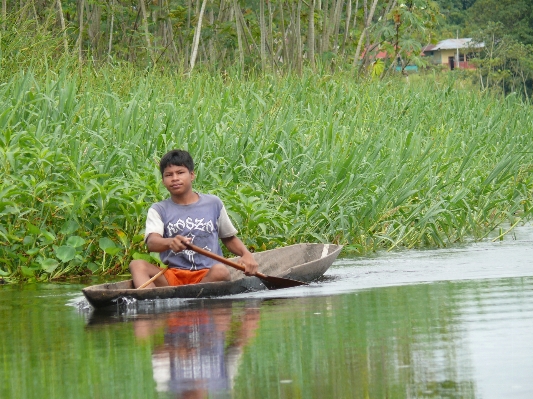 Foto Hutan kapal sungai kano