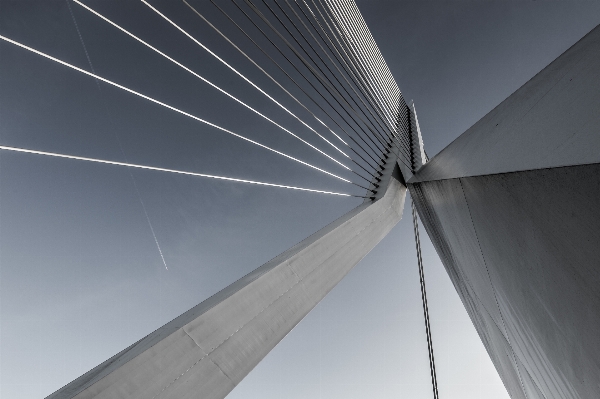 Foto Ala arquitectura estructura puente