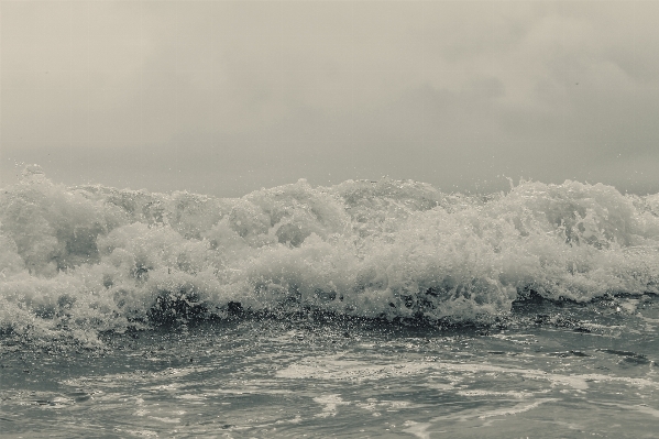 Sea coast water sand Photo