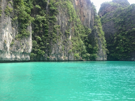 Foto água lago lagoa
 baía