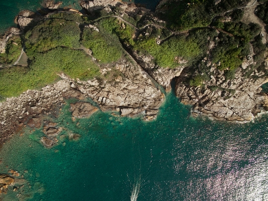 Photo Mer côte arbre eau