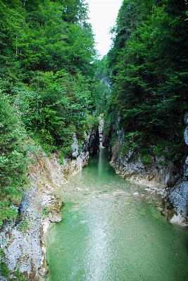 Landscape tree water nature Photo