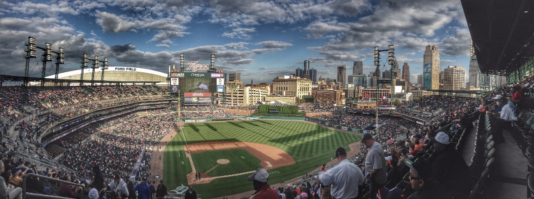 Grass structure baseball sport Photo