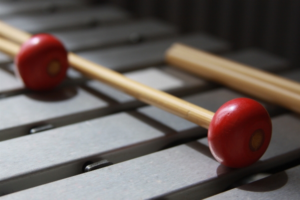 Foto Musica piscina rosso attrezzatura sportiva
