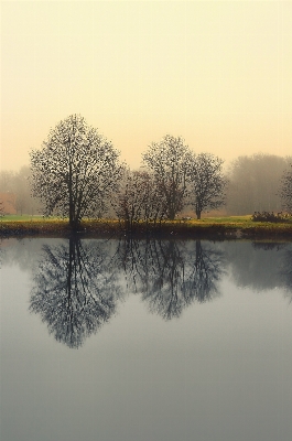 Landscape tree water nature Photo