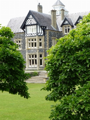 Tree lawn mansion house Photo