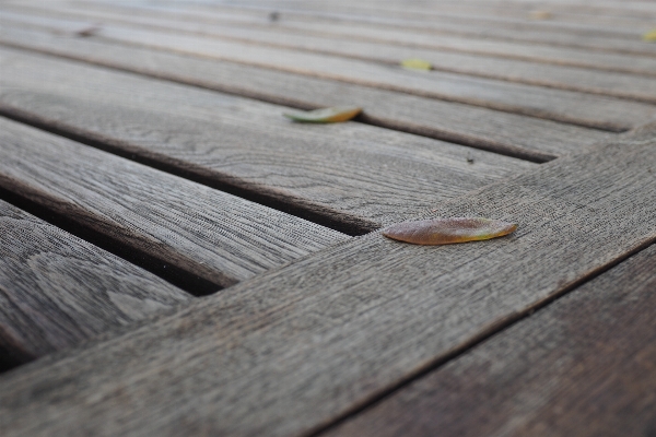 Table outdoor branch wood Photo