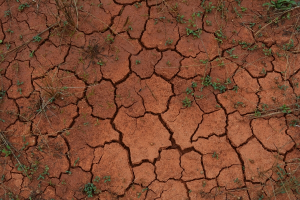 Foto Ar livre chão textura folha