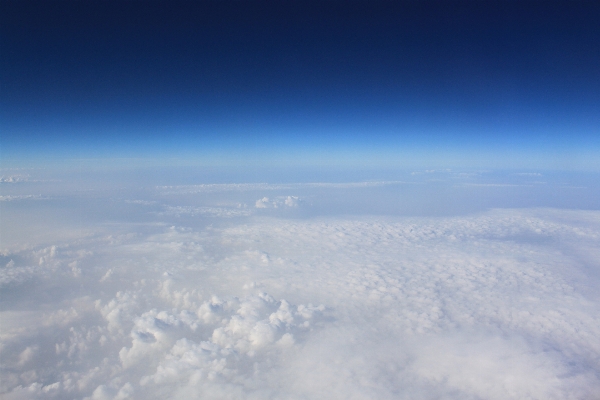 Horizon wing cloud sky Photo